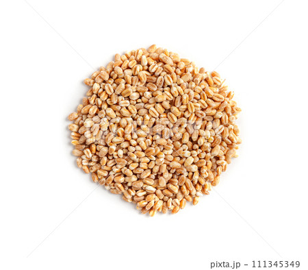 Wheat Grains, Barley Pile, Dry Cereal Seeds, Wheat Grains Heap on White 111345349