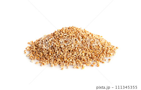 Wheat Grains, Barley Pile, Dry Cereal Seeds, Wheat Grains Heap on White Wheat Grains, Barley Pile, Dry Cereal Seeds, Wheat Grains Heap on White 111345355