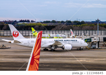 日本の千葉都市景観　成田空港第2からエア・インディアのB787-8やJALB787、ジンエアー…など 111346645