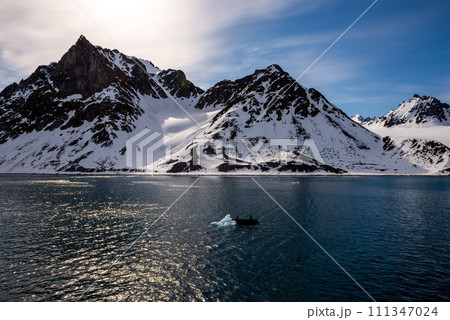 Arctic landscape with beautiful lighting in Svalbard 111347024