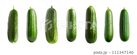 Cucumber vector set isolated on white background Cucumber vector set isolated on white background 111347140