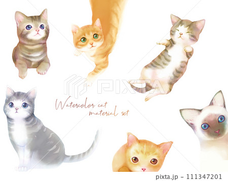 水彩調の猫の素材セット 水彩調の猫の素材セット 111347201