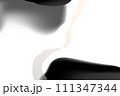 Abstract soft flowing background in black and white colors 111347344