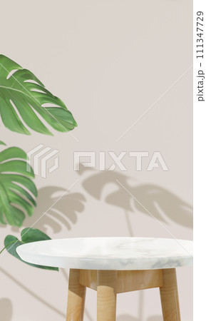 Blank empty marble table top for products mock up in minimal room. wall background with house plant. Copy space. 3d rendering illustration 111347729