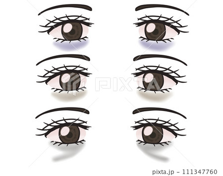 クマセット 111347760