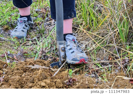Woman digging soil with garden fork. Gardening and hobby concept Woman digging soil with garden fork. Gardening and hobby concept 111347983