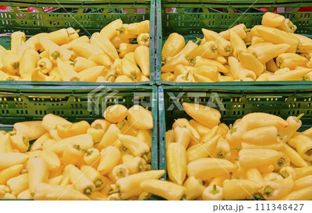 Greengrocery section - peppers, paprika at retail store in Europe. Greengrocery in local supermarket Greengrocery section - peppers, paprika at retail store in Europe. Greengrocery in local supermarket 111348427