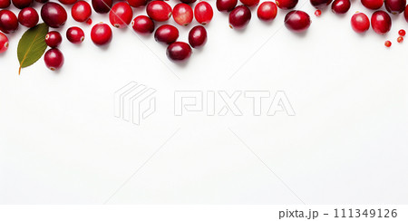 Frame with fresh cranberries on a white background with space for text 111349126