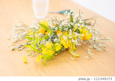 生花 切り花 生花 切り花 111349173