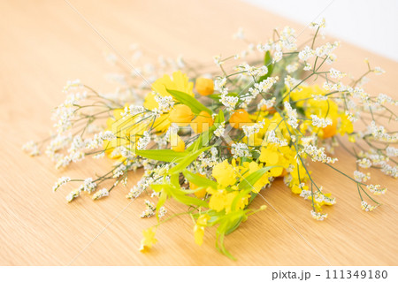 生花　切り花 111349180