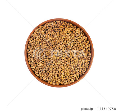 Coriander Seeds Isolated, Cilantro Grains, Chinese Parsley Seed Group, Dry Spices, Seasonings Coriander Seeds Isolated, Cilantro Grains, Chinese Parsley Seed Group, Dry Spices, Seasonings 111349750
