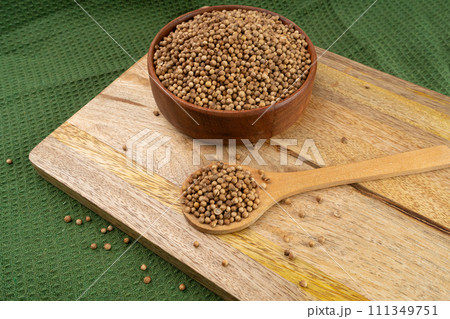 Coriander Seeds in Bowl, Organic Cilantro Grains, Chinese Parsley Seed Group, Dry Spices, Seasonings 111349751