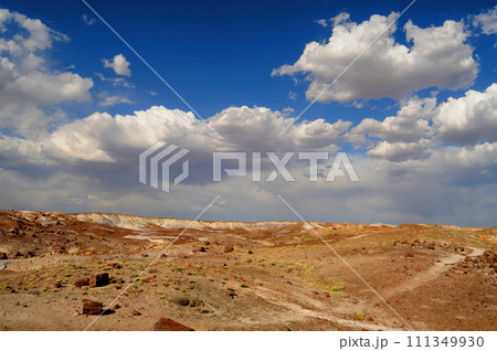 Rugged and Desolate Landscape Petrified Forest Arizona Rugged and Desolate Landscape Petrified Forest Arizona 111349930