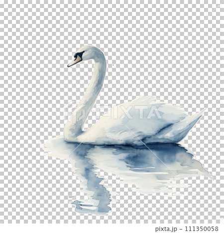 A graceful watercolor swan, its elegance captured on a serene white background 111350058