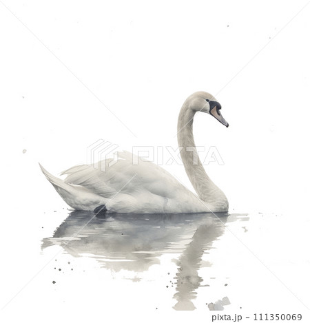 A graceful watercolor swan, its elegance captured on a serene white background A graceful watercolor swan, its elegance captured on a serene white background 111350069