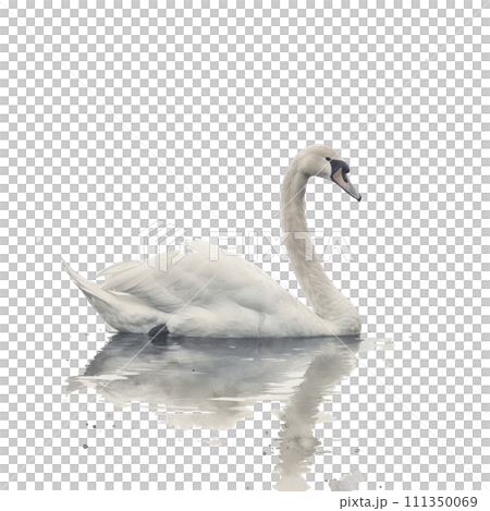 A graceful watercolor swan, its elegance captured on a serene white background A graceful watercolor swan, its elegance captured on a serene white background 111350069