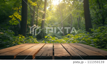 An empty wooden podium, bathed in soft sunlight, amidst a tranquil forest clearing 111350139