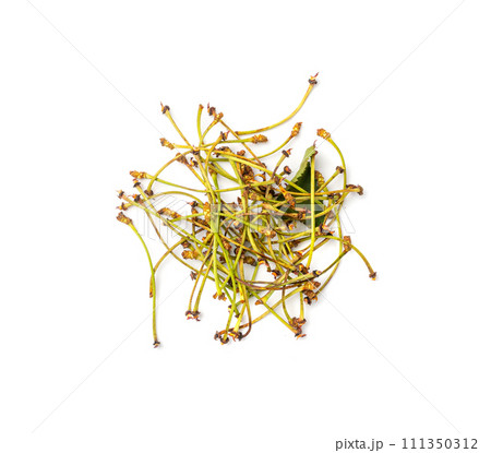 Cherry Tails, Dry Medicinal Plant, Natural Diuretic, Cherry Tails for Healthy Herbal Tea Cherry Tails, Dry Medicinal Plant, Natural Diuretic, Cherry Tails for Healthy Herbal Tea 111350312