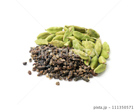 Cardamom Isolated, Green Cardamon Seeds, Dry Kardamon, Cardamum Spice, Genera Elettaria Beans 111350571