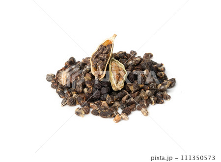 Cardamom Isolated, Green Cardamon Seeds, Dry Kardamon, Cardamum Spice, Genera Elettaria Beans 111350573