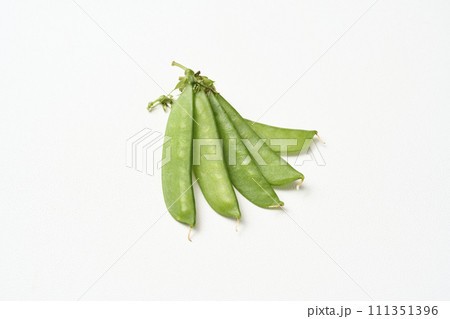 きぬさや 111351396