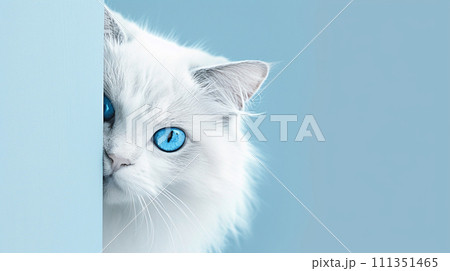 【AI生成画像・AIイラスト】壁から覗き込む猫【動物】 111351465