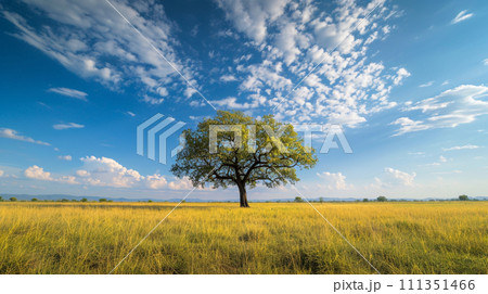 【AI生成画像・AIイラスト】青い空と木 111351466