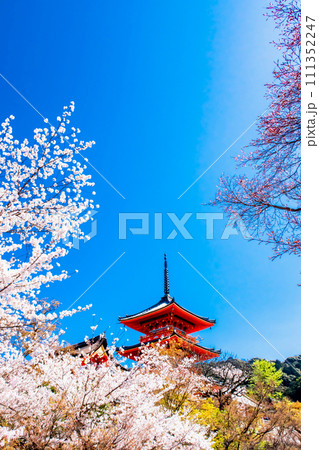 京都 春の清水寺 三重塔 京都 春の清水寺 三重塔 111352247