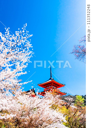 京都 春の清水寺 三重塔 京都 春の清水寺 三重塔 111352248