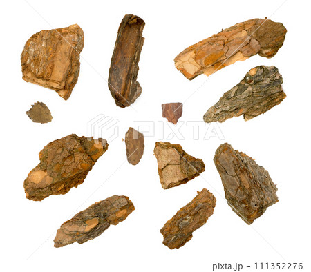 Tree Bark or Garden Mulch Isolated on White Background Tree Bark or Garden Mulch Isolated on White Background 111352276