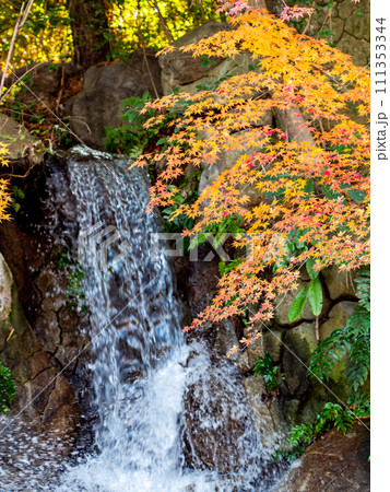 清涼感あふれる滝と鮮やかな紅葉 111353344