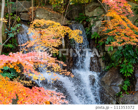 清涼感あふれる滝と鮮やかな紅葉 清涼感あふれる滝と鮮やかな紅葉 111353372