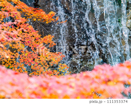 清涼感あふれる滝と鮮やかな紅葉 111353374