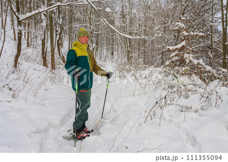 Man in forest in winter with trekking poles and snowshoes, sunny morning after snow falling. 111355094