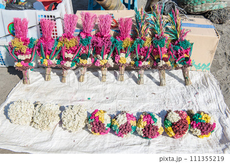The vivid flowers for praying and offering to Hindu god on Mt.Bromo crater in East Java of Indonesia. The vivid flowers for praying and offering to Hindu god on Mt.Bromo crater in East Java of Indonesia. 111355219