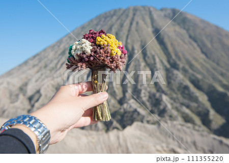 Cropped shot view of someone hand holding flowers for praying and offering to the Hindu god with Mt.Batok in the background, East Java of Indonesia. 111355220