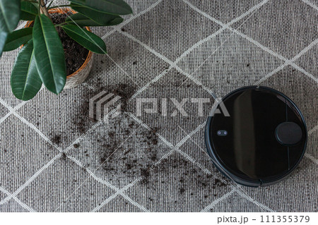 Robotic vacuum cleaner cleaning dirty carpet at home next plant 111355379