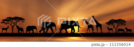 Late evening in the African savanna Late evening in the African savanna 111356014