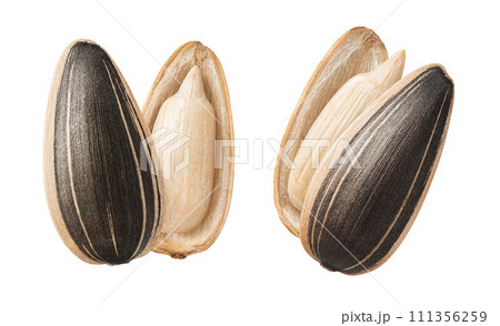 Double open sunflower seeds isolated on white background Double open sunflower seeds isolated on white background 111356259