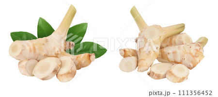 Fresh galangal root with slices isolated on white background with full depth of field. Fresh galangal root with slices isolated on white background with full depth of field. 111356452