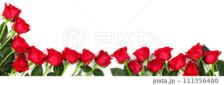 beautiful red rose with leaves isolated on white background with copy space for your text. Top view. Flat lay pattern 111356480