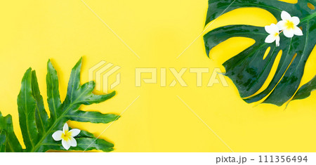 Summer flat lay scenery Summer flat lay scenery 111356494