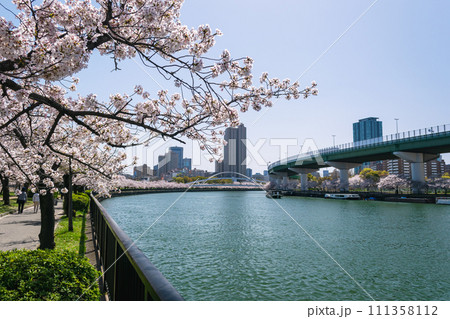 春の大川沿いの桜並木 飛翔橋付近 111358112