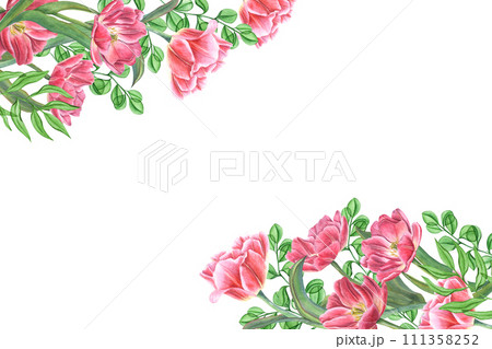 Blooming tulips. Flowers with green leaves. Spring frame with copy space for text. Watercolor illustration. For Save the date, Valentines day cards, greeting, invitation 111358252