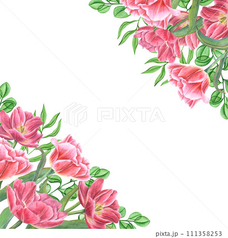 Blooming tulips. Square frame. Flowers with green leaves. Copy space for text. Watercolor illustration for Save the date, Valentines day cards, greeting, invitation 111358253