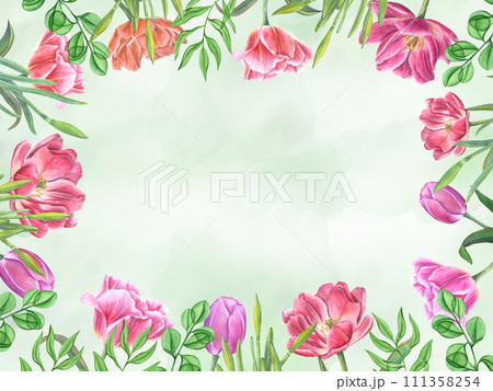Pink tulips and daffodils on watercolor green surface. Spring flowers with greenery. Garden double tulips, narcissus buds, leaves. Watercolor illustration. Copy space for text. 111358254