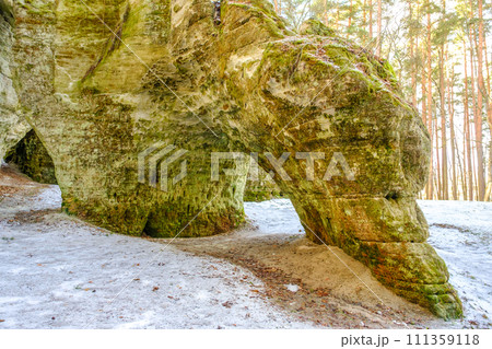 Picturesque view of the picturesque sandstone caves of Liela Ellite, Liepa parish, Priekuli county, Vidzeme county, Latvia 111359118