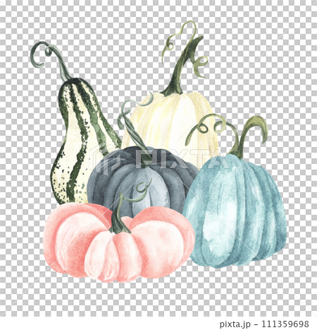 Watercolor blue and white pumpkin composition, floral pumpkins, Halloween clip art, autumn design elements, fall arrangement, Harvest clip art isolated on white background. Watercolor blue and white pumpkin composition, floral pumpkins, Halloween clip art, autumn design elements, fall arrangement, Harvest clip art isolated on white background. 111359698