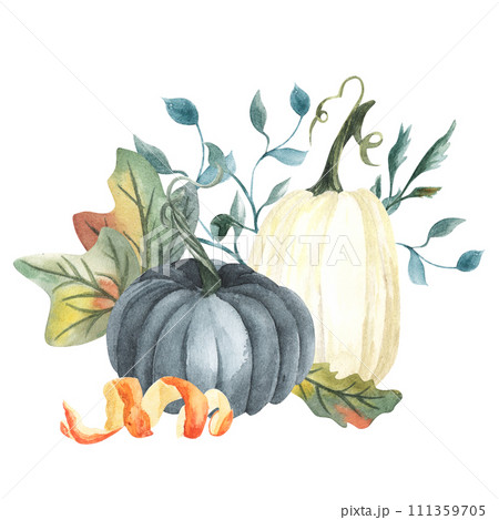 Watercolor blue and white pumpkin composition, floral pumpkins, Halloween clip art, autumn design elements, fall arrangement, Harvest clip art isolated on white background. Watercolor blue and white pumpkin composition, floral pumpkins, Halloween clip art, autumn design elements, fall arrangement, Harvest clip art isolated on white background. 111359705