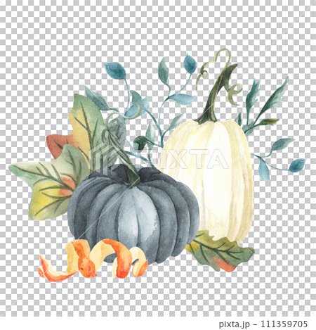 Watercolor blue and white pumpkin composition, floral pumpkins, Halloween clip art, autumn design elements, fall arrangement, Harvest clip art isolated on white background. Watercolor blue and white pumpkin composition, floral pumpkins, Halloween clip art, autumn design elements, fall arrangement, Harvest clip art isolated on white background. 111359705